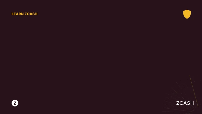 Zcash's Price Surge: Bitcoin's Dip and Winklevoss' $18M Bet